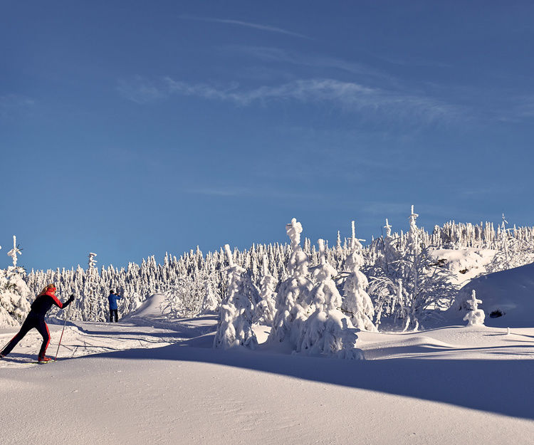 Der Bayerische Wald - Ein Paradies für Wintersportler