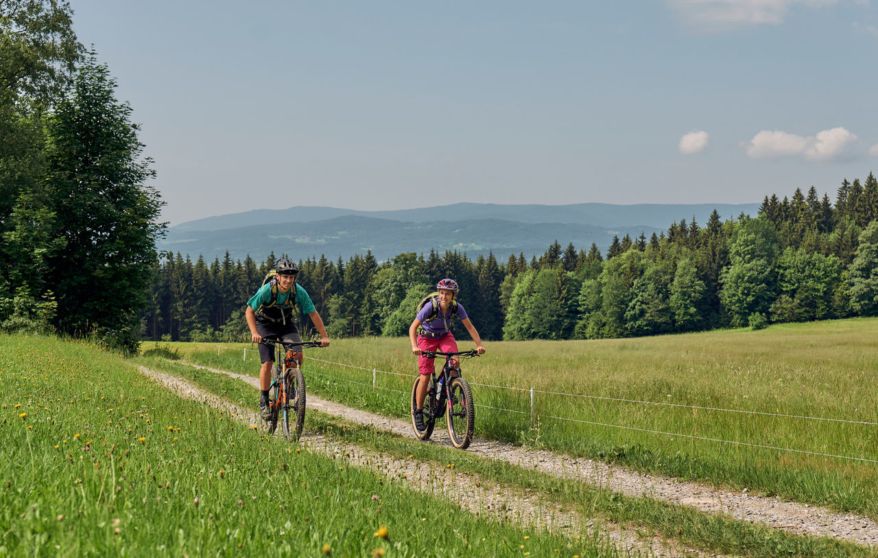 Den Bayerischen wald vom Fahrrad aus entdecken